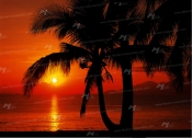 poster NO 14-255-8
